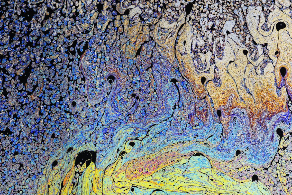 psychedelic_pill#2121